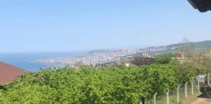 فلل للايجار في طرابزون 