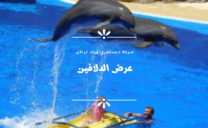 سيارة مع سائق في انطاليا